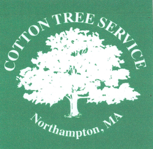 Cotton Tree Service Northampton MA
