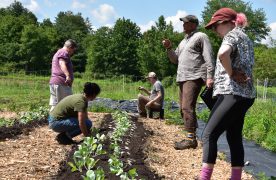 Thumbnail for Farm Day for Emerging Leaders